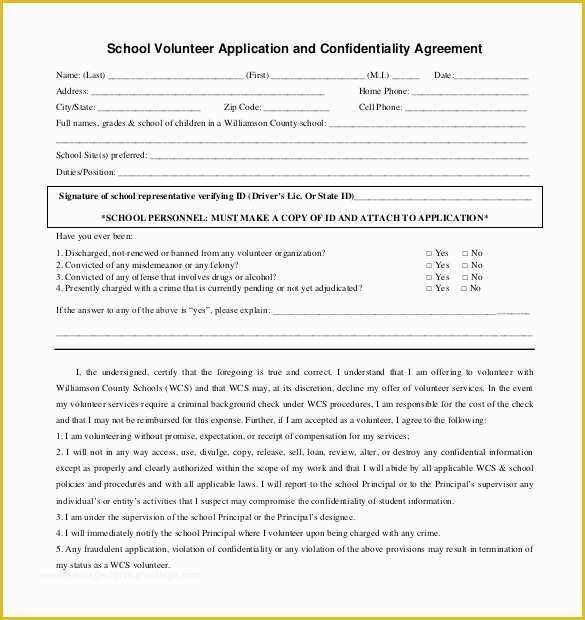 Volunteer Application form Template Free Of 10 Volunteer Application Templates Free Sample Example