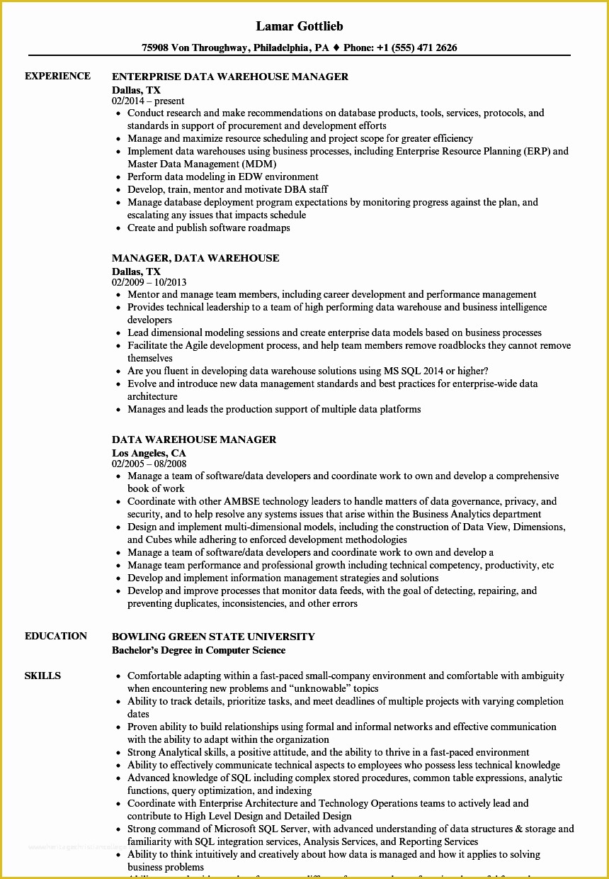 Warehouse Manager Resume Template Free Of Data Warehouse Manager Resume Samples