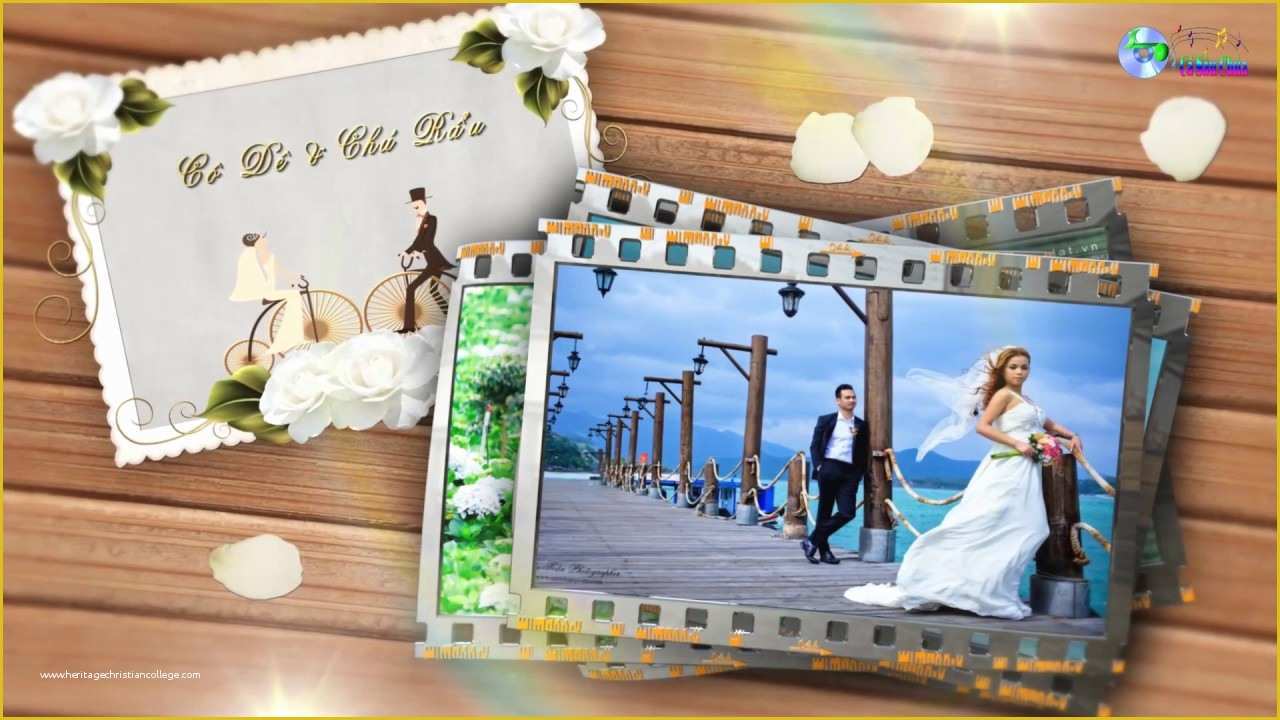 42 Wedding Template after Effect Free Download