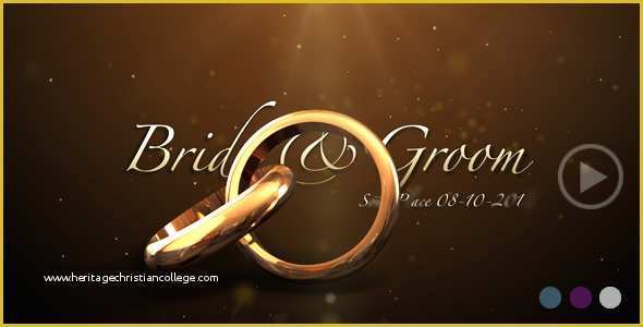 Wedding Template after Effect Free Download Of Weddings Rings Intro by Flashato