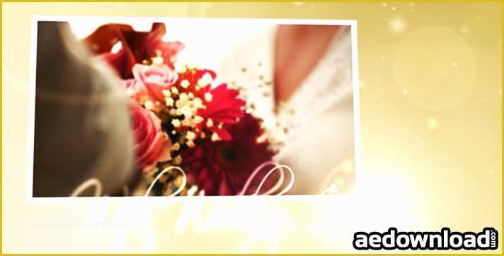 Wedding Video Intro Templates Free Of Wedding Intro Archives Free after Effects Template