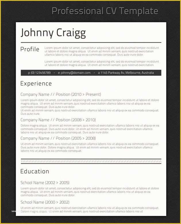 What is the Best Free Resume Template Of 20 Best Images About Snag A Job On Pinterest