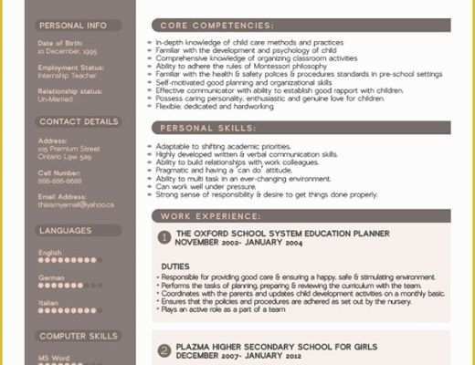 What is the Best Free Resume Template Of Free Premium Professional Resume Cv Design Template with
