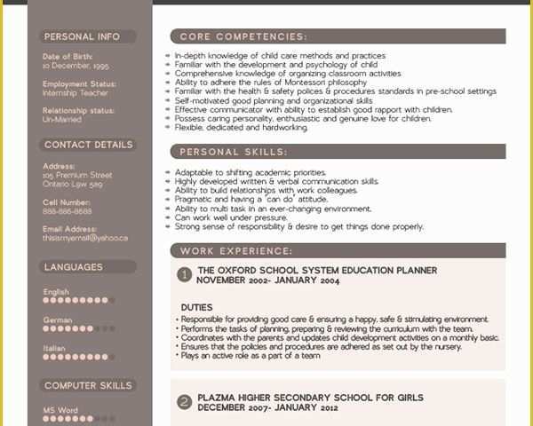 What is the Best Free Resume Template Of Free Premium Professional Resume Cv Design Template with