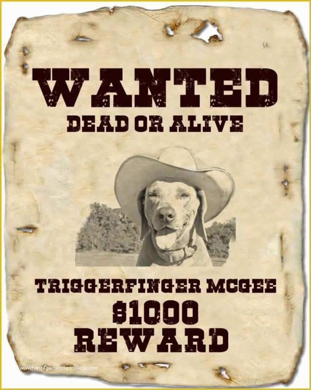 Wild West Wanted Poster Template Free Of Pin by C Flutterbye On Education Pinterest