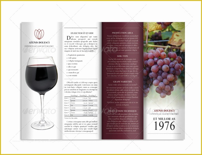 Wine Brochure Template Free Of 12 Wine Brochure Templates Free Word Psd Designs
