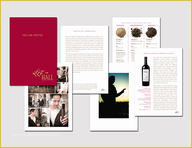 Wine Brochure Template Free Of 12 Wine Brochure Templates Free Word Psd Designs