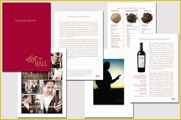 Wine Brochure Template Free Of 16 Wine Brochures Free Download