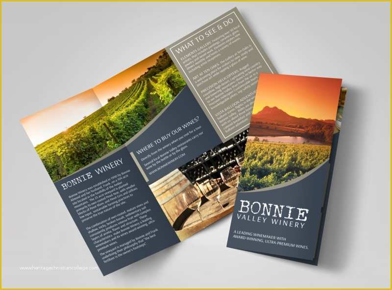 Wine Brochure Template Free Of Bonnie Valley Winery Tri Fold Brochure Template