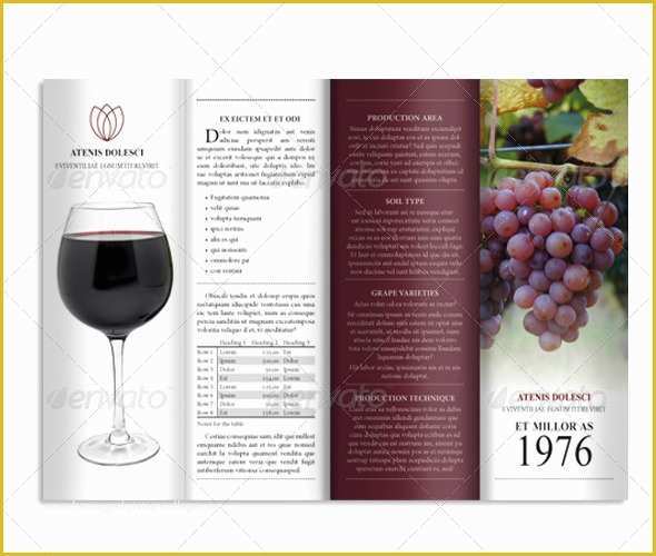 Wine Brochure Template Free Of Wine Brochure Template Csoforumfo