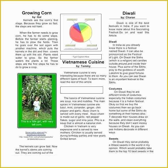 Word Document Newsletter Templates Free Of Newspaper Template – Handwerkerrentefo