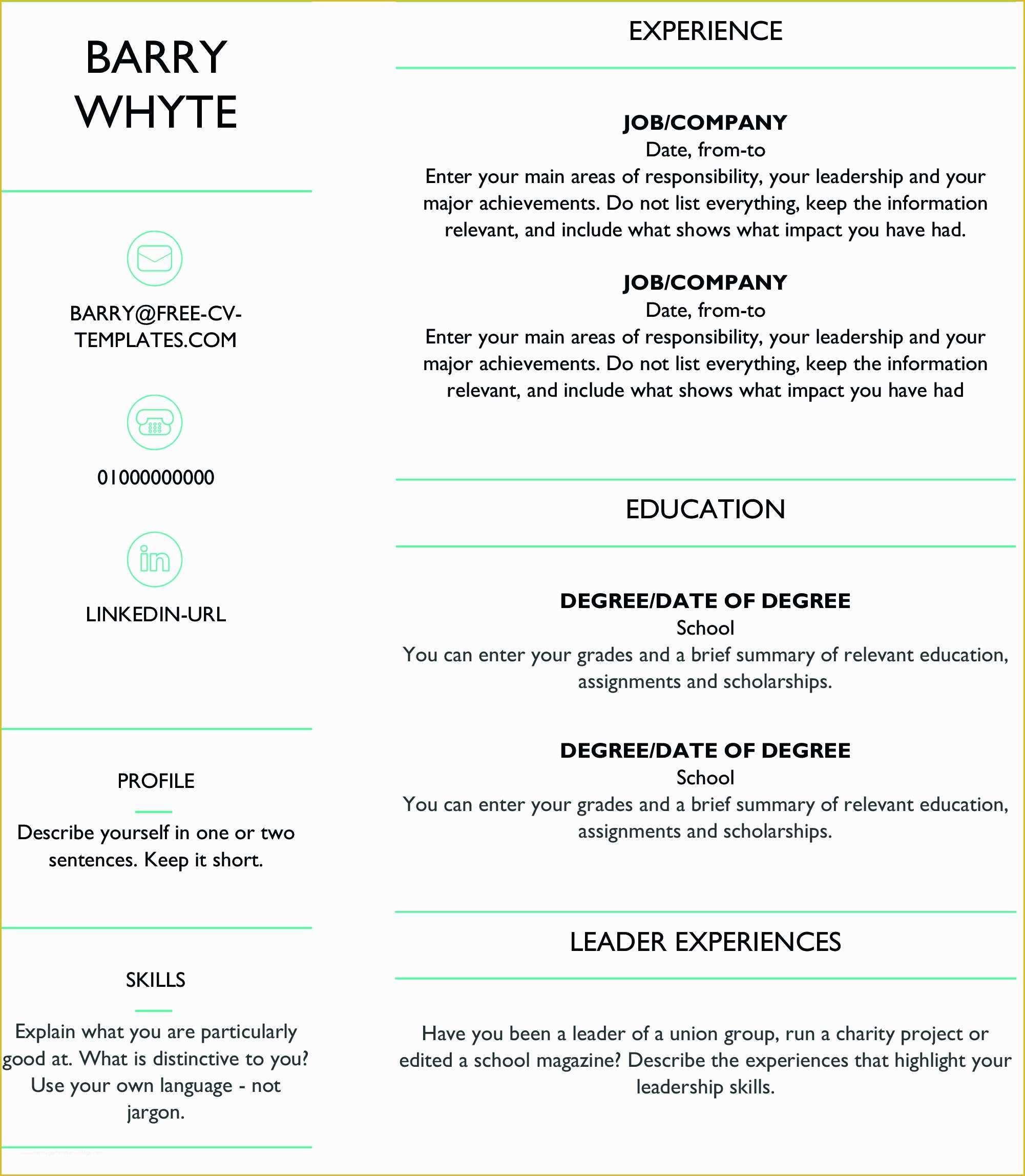 Wordpress Resume Template Free Of Free Dynamic Cv Templates