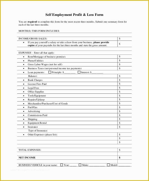 Year to Date Profit and Loss Statement Free Template Of 7 Sample Profit and Loss Statement forms