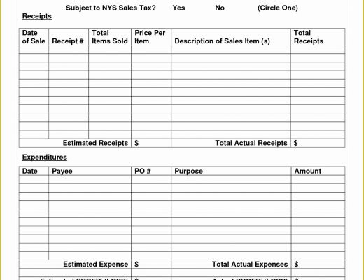 Year to Date Profit and Loss Statement Free Template Of Year to Date Profit and Loss Statement Template