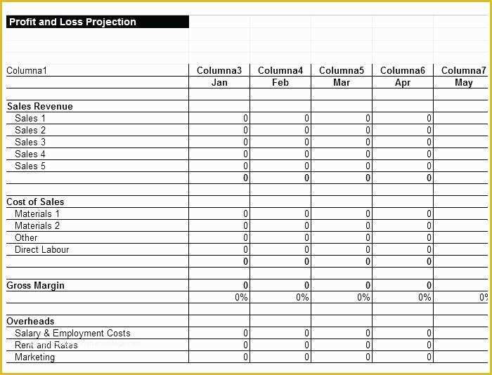 Year to Date Profit and Loss Statement Free Template Of Year to Date Profit and Loss Template Profits and Losses