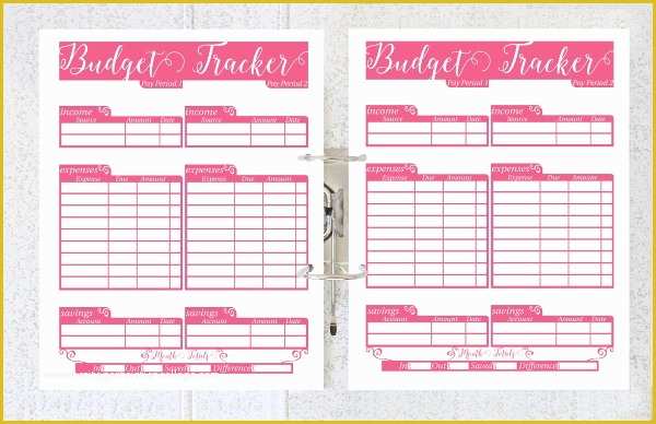 Yearly Budget Planner Template Free Of 5 Daily Bud Planner Templates Free Sample Example