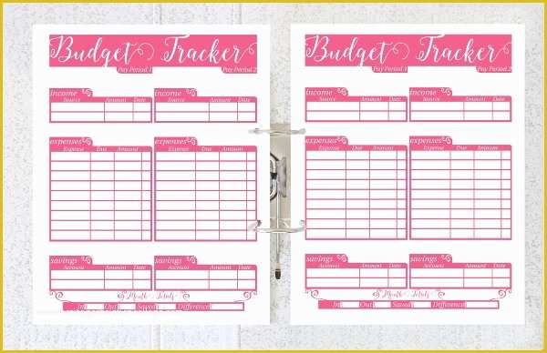 Yearly Budget Planner Template Free Of Daily Bud Planner Template 5 Free Psd Ai Eps