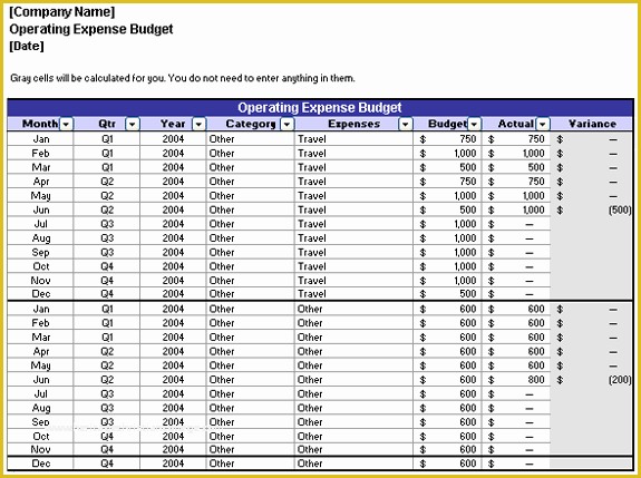 Yearly Budget Planner Template Free Of Operating Expense Bud Template