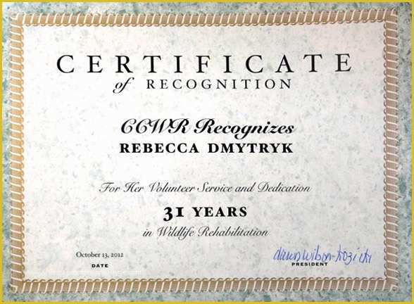 Years Of Service Certificate Template Free Of Wildrescue S Blog Reunite Wildlife